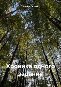 Обложка книги «Хроника одного задания»