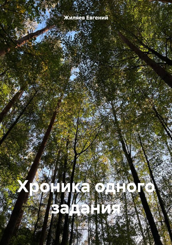 Обложка книги «Хроника одного задания»