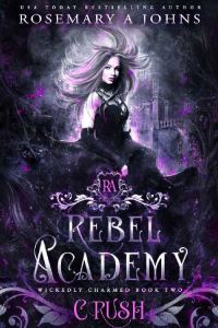 Обложка книги «Rebel Academy: Crush»