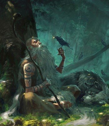 Обложка книги «Друид, Гарри и не канон»