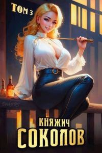 Обложка книги «Княжич Соколов. Том 3»