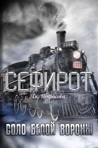 Обложка книги «Соло Белой вороны»