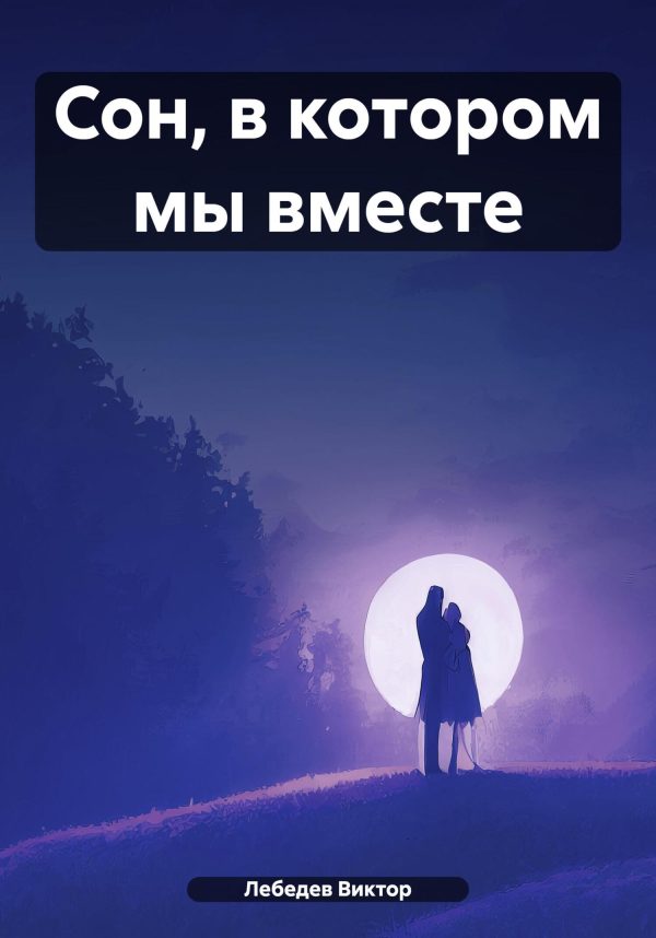 Обложка книги «Сон, в котором мы вместе»