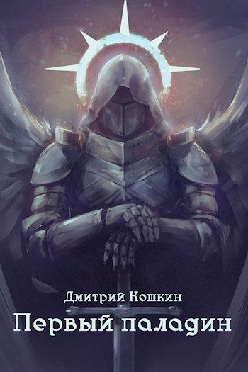 Обложка книги «Первый паладин»