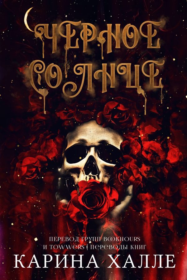 Обложка книги «Черное солнце»