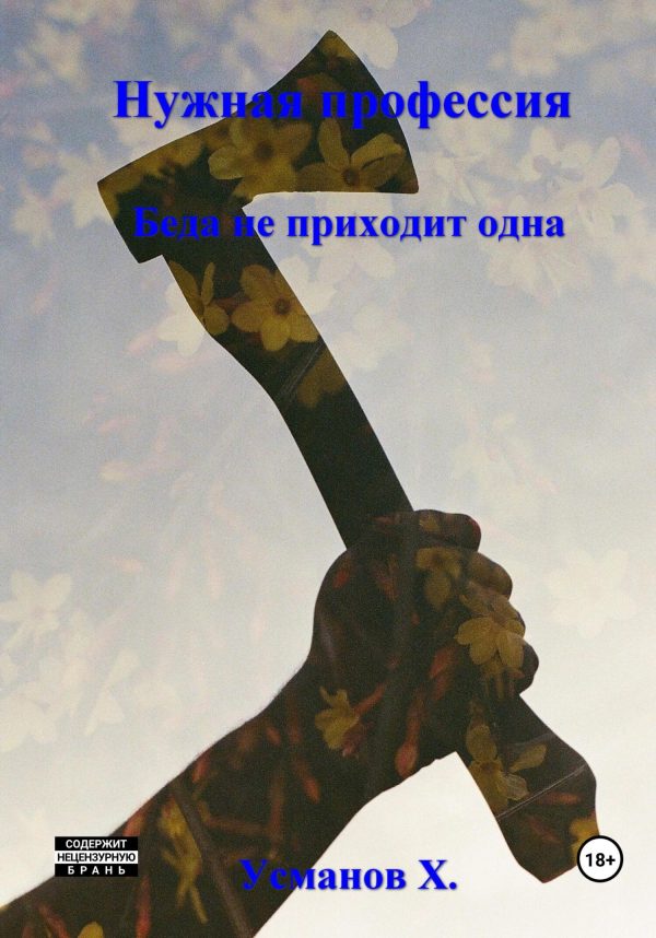Обложка книги «Беда не приходит одна»