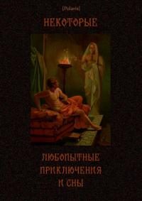 Обложка книги «Некоторые любопытные приключения и сны»