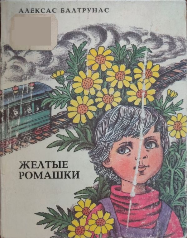 Обложка книги «Желтые ромашки»