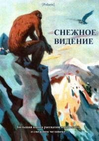 Обложка книги «Снежное видение»
