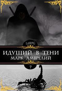 Обложка книги «Идущий в тени 7»