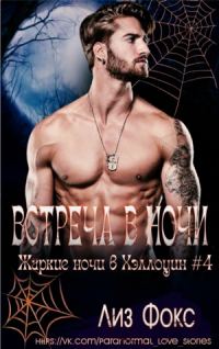Обложка книги «Встреча в ночи»