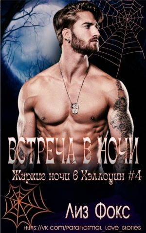 Обложка книги «Встреча в ночи»