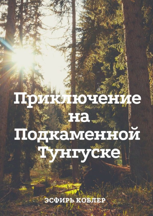 Обложка книги «Приключение на Подкаменной Тунгуске»