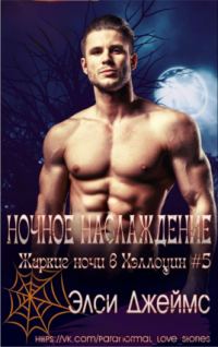 Обложка книги «Ночные наслаждения»