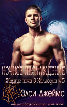 Обложка книги «Ночные наслаждения»
