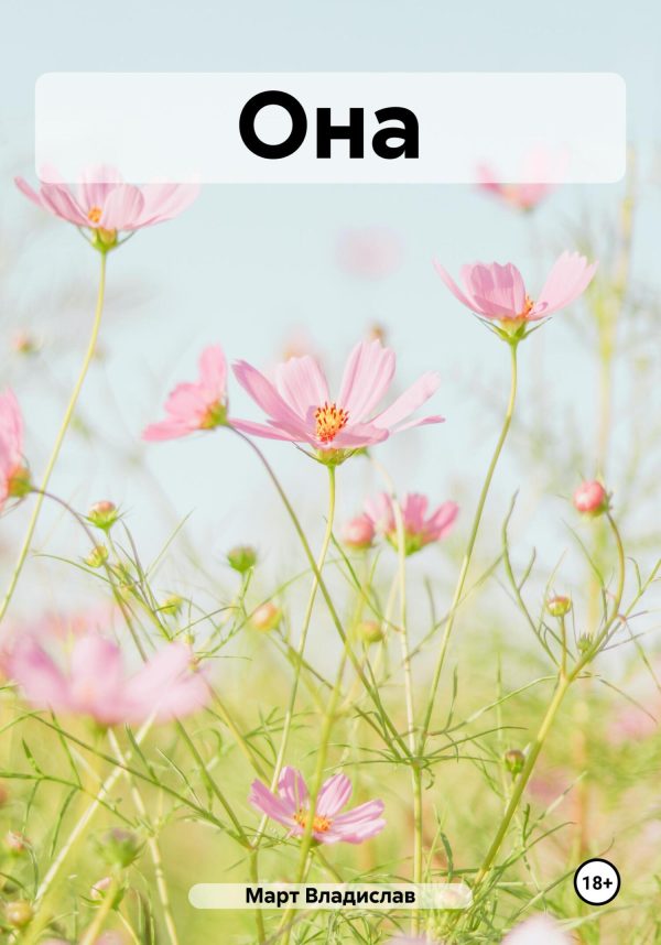Обложка книги «Она»