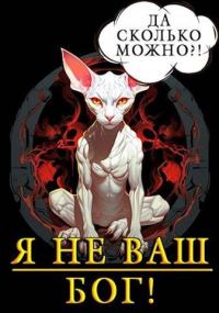 Обложка книги «Я не ваш бог!»