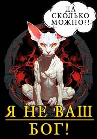 Обложка книги «Я не ваш бог!»