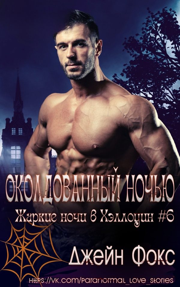 Обложка книги «Околдованный ночью»