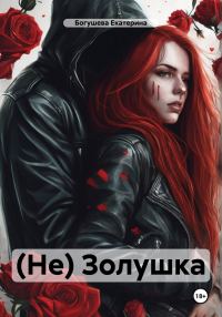 Обложка книги «(Не) Золушка»