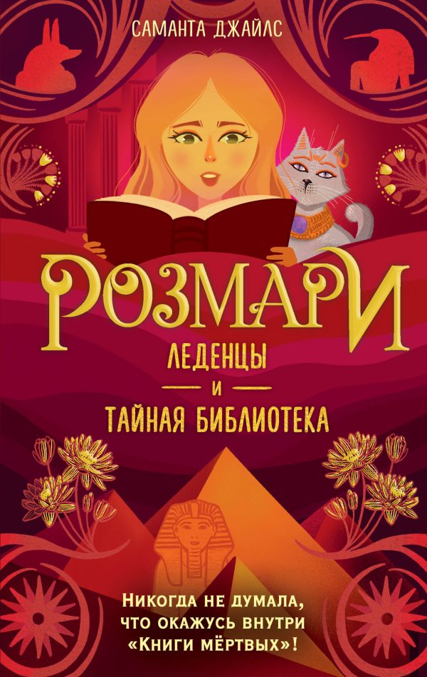 Обложка книги «Леденцы и тайная библиотека»