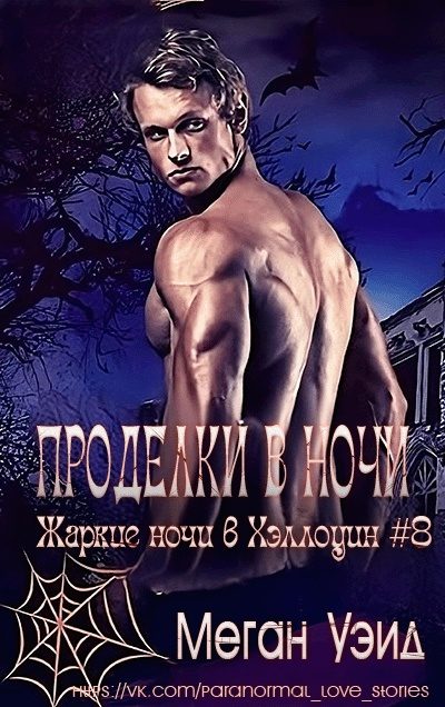 Обложка книги «Проделки в ночи»