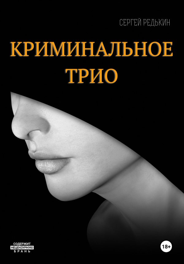 Обложка книги «Криминальное трио»