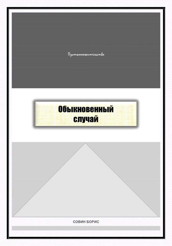 Обложка книги «Обыкновенный случай»