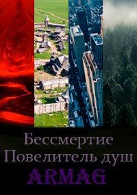 Обложка книги «Повелитель душ»