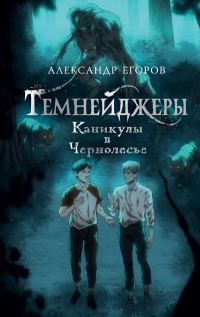 Обложка книги «Каникулы в Чернолесье»
