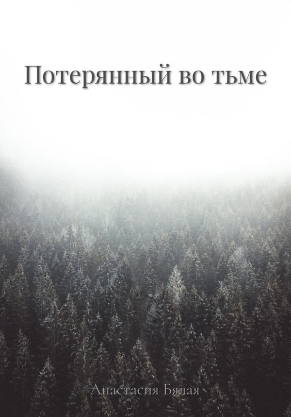 Обложка книги «Потерянный во тьме»