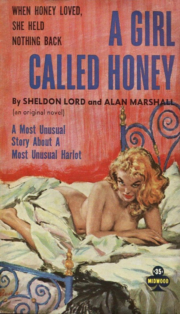 Обложка книги «A Girl Called Honey»