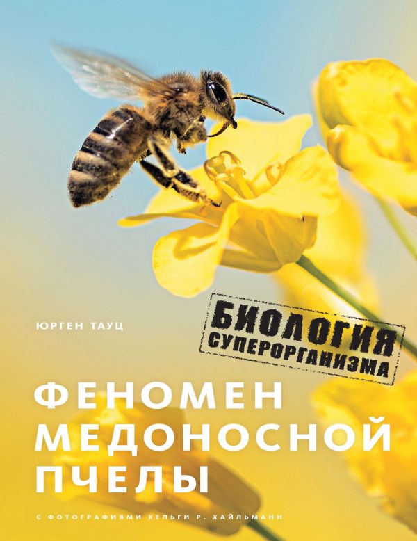 Обложка книги «Феномен медоносной пчелы. Биология суперорганизма»