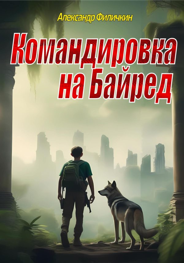 Обложка книги «Командировка на Байред»