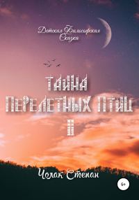 Обложка книги «Тайна перелётных птиц 2»