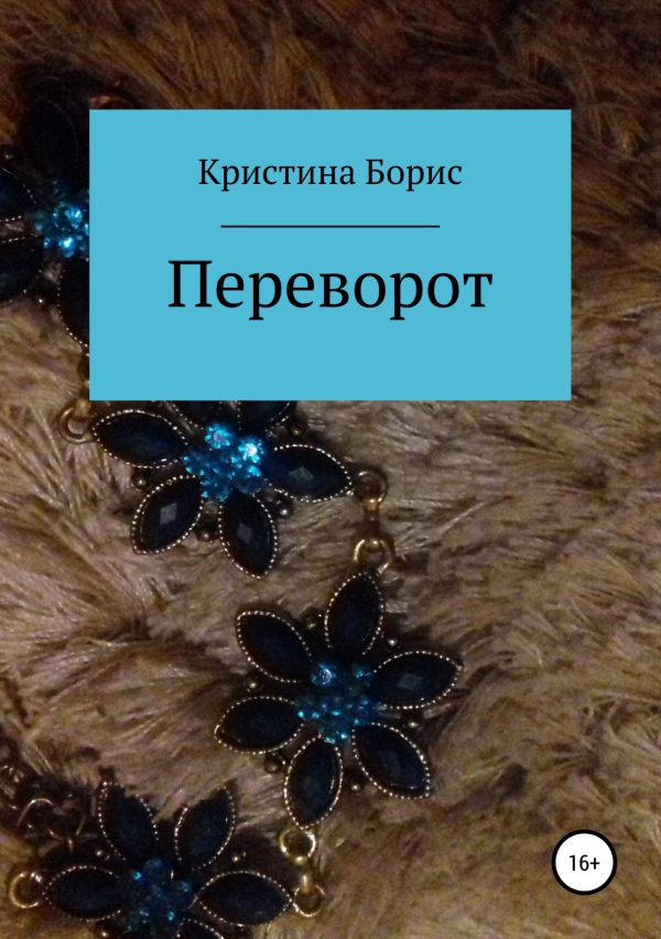 Обложка книги «Переворот»