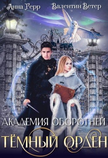 Обложка книги «Темный орден»