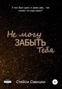 Обложка книги «Не могу забыть тебя»