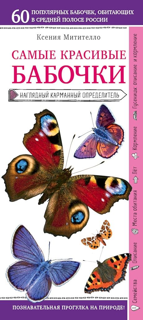 Обложка книги «Самые красивые бабочки. Наглядный карманный определитель»