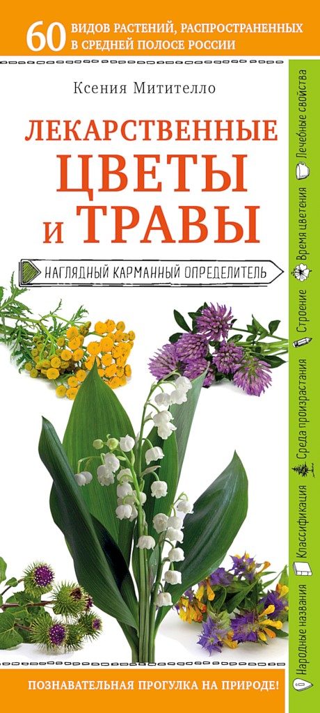 Обложка книги «Лекарственные цветы и травы. Наглядный карманный определитель»