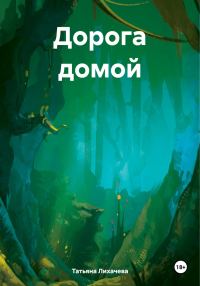 Обложка книги «Дорога домой»