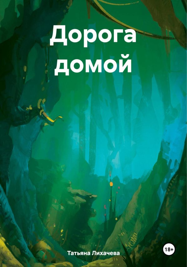 Обложка книги «Дорога домой»