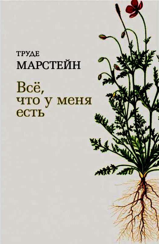 Обложка книги «Всё, что у меня есть»