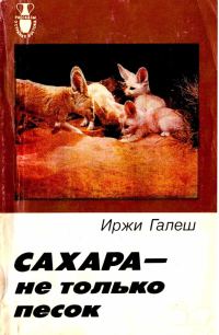 Обложка книги «Сахара — не только песок»