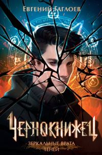 Обложка книги «Зеркальные врата теней»