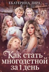 Обложка книги «Как стать многодетной за один день»