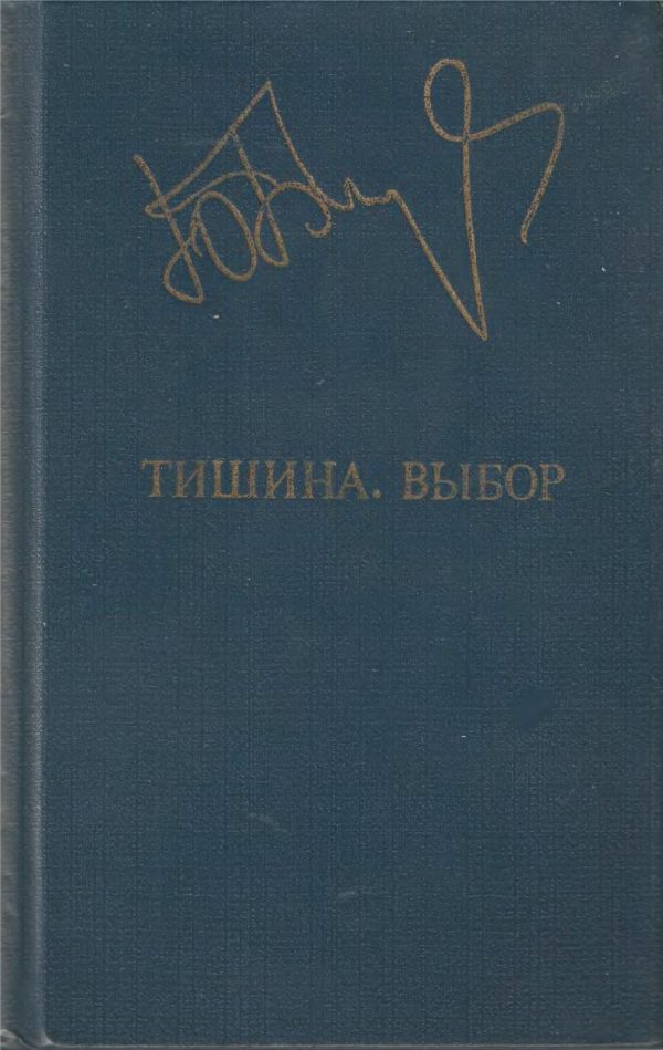 Обложка книги «Тишина. Выбор»