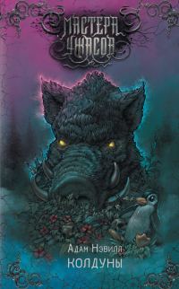 Обложка книги «Колдуны»