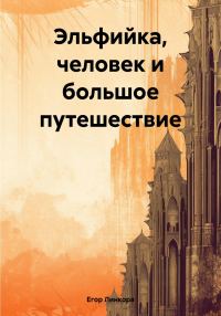 Обложка книги «Эльфийка, человек и большое путешествие»