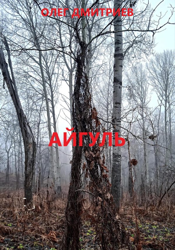 Обложка книги «Айгуль»